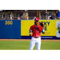 Biloxi Shuckers as the Biloxi Mudbugs