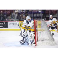 Atlanta Gladiators goaltender T.J. Semptimphelter