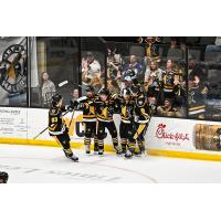 Wheeling Nailers celebrate a goal