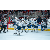 Springfield Thunderbirds on game night