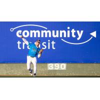 Everett AquaSox' Jonny Farmelo in action