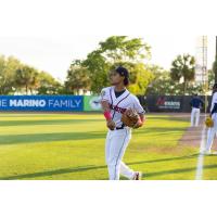 Charleston RiverDogs in the field
