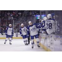 Syracuse Crunch exchange congratulations along the bench vs. the Cleveland Monsters