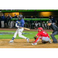 Tri-City Dust Devils first baseman Ryan Nicholson