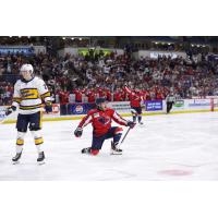 South Carolina Stingrays celebrate a goal against the Atlanta Gladiators
