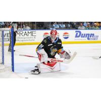 Toledo Walleye goaltender Carter Gylander