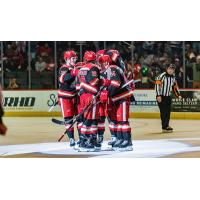 Grand Rapids Griffins huddle