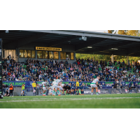 Seattle Seawolves in action
