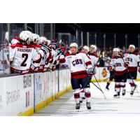 South Carolina Stingrays along the bench