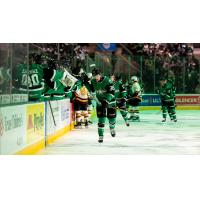 Texas Stars forward Artem Shlaine along the bench