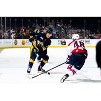 Atlanta Gladiators defenseman Chad Nychuk vs. the South Carolina Stingrays