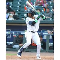 Henry Ramos of the Columbia Fireflies