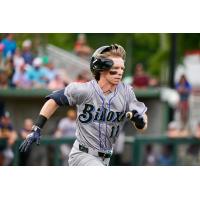 Biloxi Shuckers shortstop Dylan O'Rae