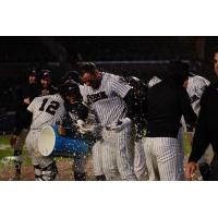 Coby Morales and the Somerset Patriots celebrate a walk-off win