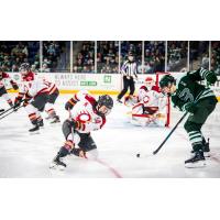 Ottawa Charge battle the Boston Fleet in the PWHL Walter Cup Playoffs