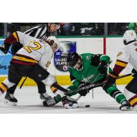 Texas Stars forward Ellis Rickwood (right) faces off with the Chicago Wolves