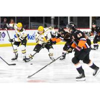 Wheeling Nailers forward Nolan Renwick with the puck against the Reading Royals