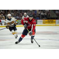 South Carolina Stingrays' Patrick Guzzo and Atlanta Gladiators' Austin Roest ion game night