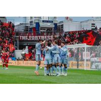 San Jose Earthquakes congratulate Niko Tsakiris after his goal against Toronto FC