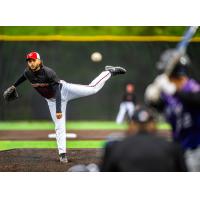 Washington Wild Things' Kobe Foster in action