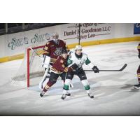 Texas Stars' Curtis McKenzie and Chicago Wolves' Cayden Primeau and Joel Nyström on game night