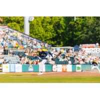 Charleston RiverDogs pitcher Trey Pooser