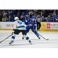 Syracuse Crunch left wing Nick Abruzzese vs. the Cleveland Monsters