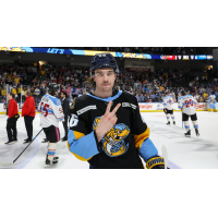Toledo Walleye defenseman Riley McCourt