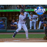 Charleston RiverDogs catcher Caden Bodine