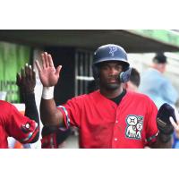 Pensacola Blue Wahoos exchange congratulations in the dugout