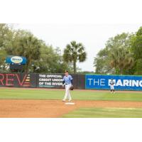 Charleston RiverDogs shortstop Daniel Pierce