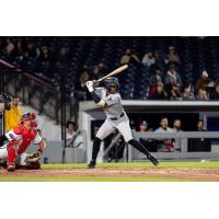 DJ Gladney of the Somerset Patriots