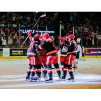 Grand Rapids Griffins celebrate a goal against the Manitoba Moose