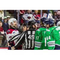 South Carolina Stingrays and Florida Everblades renew acquaintances