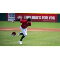 Hickory Crawdads in the field