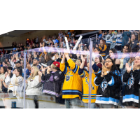 Atlanta Gladiators fans support the team