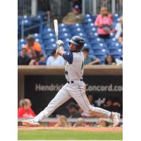 Yandel Ricardo of the Columbia Fireflies