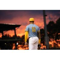 Montgomery Biscuits first baseman Xavier Isaac