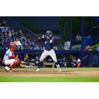 Tyler Hardman of the Somerset Patriots at bat