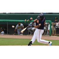 Down East Bird Dawgs at bat