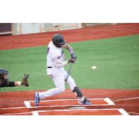Lake Erie Crushers' Derek Vegas at bat