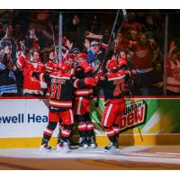 Grand Rapids Griffins celebrate win