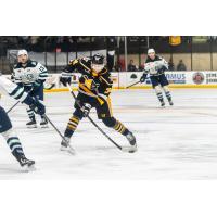 Wheeling Nailers forward Zach Urdahl vs. the Maine Mariners