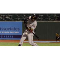 Aaron Takacs at bat for the Long Island Ducks