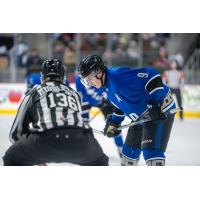 Wenatchee Wild forward Aiden Grossklaus
