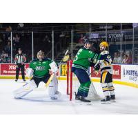 Wheeling Nailers face the Maine Mariners defense