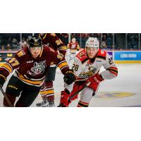 Grand Rapids Griffins right wing Michael Brandsegg-Nygård (right) vs. the Chicago Wolves