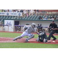 Lake Erie Crushers catcher Derek Vegas makes a tag at home