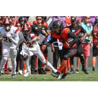 Orlando Storm wide receiver Elijhah Badger vs. the Birmingham Stallions