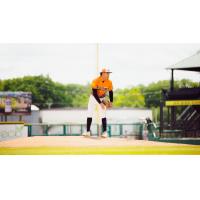 Down East Bird Dawgs on the mound